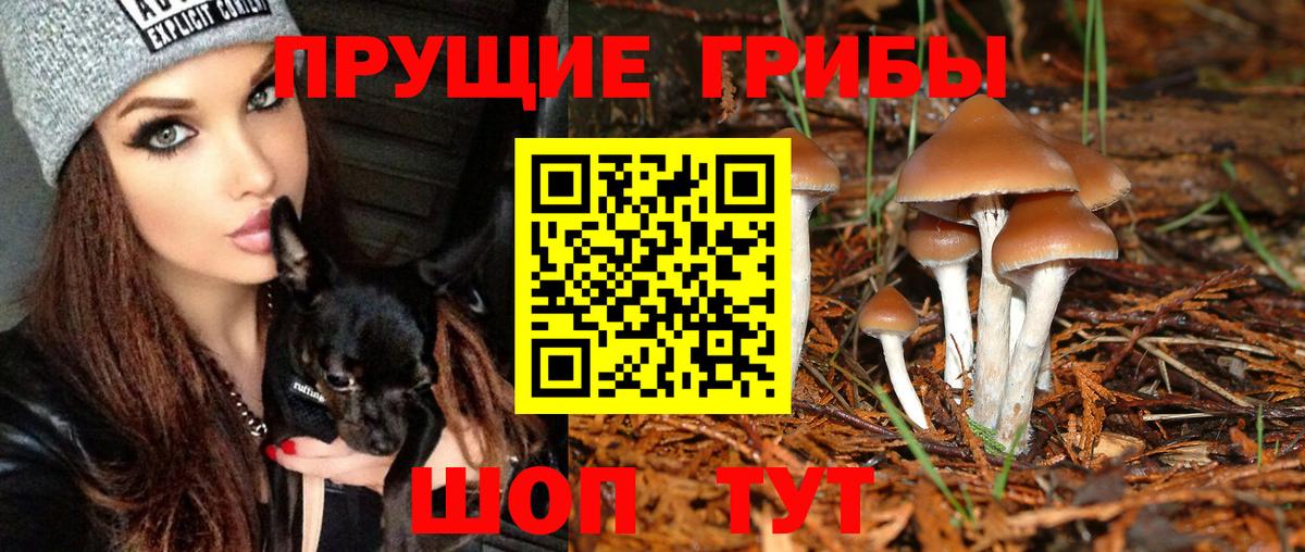 Минусинск  Псилоцибиновые грибы мицелий  Вход с VPN 